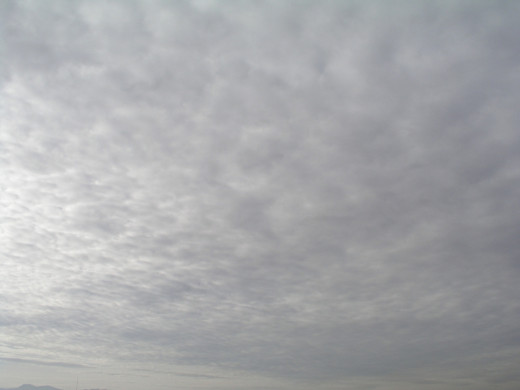28745 (a): :1600x1200